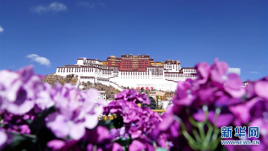 （服务）（1）西藏实行特殊优惠力推“冬游西藏”　布达拉宫等景区免费开放